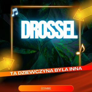 DROSSEL - Ta dziewczyna była inna (cover)