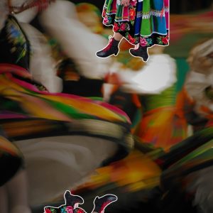 MELODIA LUDOWA - Ja do lasu nie pojadę